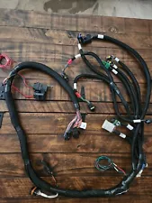 Holley EFI 558-503 Main Harness for HP & Dominator SBC LT1 TPI & Universal