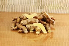 White Turmeric 300+ gram Bulbs Curcuma zedoaria for Planting