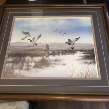 Mallard Landing Art Print by Ron Atwood Signed and Numbered 182/2000