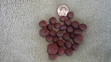 Taconite Iron Ore Pellets Iron Mountain Michigan Menominee Range 1945 5OZ