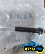 Seadoo OEM Connecting Rod Screws Stretch Bolt 420640991