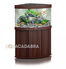 corner fish tanks for sale