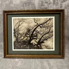 Arthur Rackham Antique BOOK PLATE FRAMED ART PRINT Rip Van Winkle Fairy/Elf Core