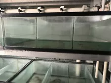 Glass Fish Tanks - 3 Section 12x12x24 per section