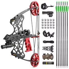 18" Mini Compound Bow 45lbs Dual-use Steel Ball Arrows Archery Fishing Hunting