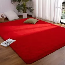 Red Rug 4x6 Feet - Fluffy Red Area Rugs for Bedroom Shaggy 4' X 6' Living Roo...