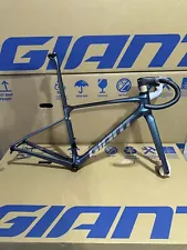 2024 GIANT DEFY SL Frameset. Blue Dragonfly Medium