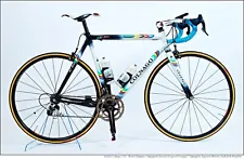 COLNAGO C50 B-Stay C50 w/ Capagnolo 10spd Record Group/ Hyperoon Wheels