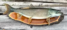 Taxidermy Lake Trout 33" Real Skin Mount Taxidermy Live Edge Wood Plaque Canada