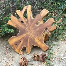 Natural Teak Wood Slab Table Top Live Edge DIY for Coffee Side End Tab Rustic