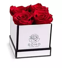 | Roses in A Box | Genuine Roses that Last for Years White Square 4ct. Red