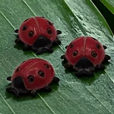 Vintage Plastic Lady Bugs West Germany