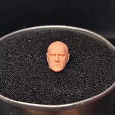 1/24 Scale Breaking Bad Hank Schrader Head Sculpt Unpainted Fit 2.5" Figure