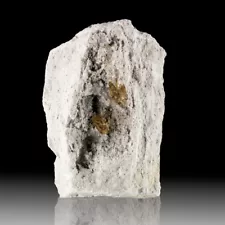 3.2" See-Thru Clear Sherry-Amber TOPAZ Crystals in Rhyolite Vug Utah for sale