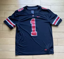 Adult L: Nike Team Ohio State Black Out Football Jersey #1