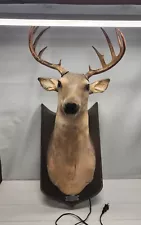 The Singing Talking Deer Head “Buck” A Gemmy Motion Animated Wall Mount READ