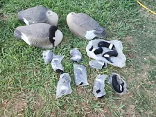 Hollow Shell Canadian Honker Goose Field Decoys Lot Of 12 Dozen Geese