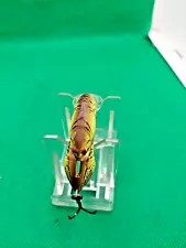 vintage fishing lure shallow runner crayfish multi-colored lure for Bass fishing