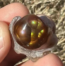 Fire Agate Round Polished With Rough back