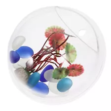 Wall Mount Fish Tanks Large Unique Betta Bowl for Hanging Aquarium