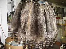 Tanned Raccoon Hides Fur Coats Trapping Furs Hats Bags ID Tag Red # 1 Grade