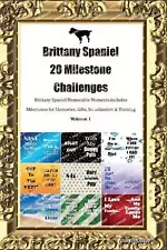 Brittany Spaniel 20 Milestone Challenges Brittany Spaniel Memorable Moments. Inc