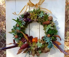 Handmade Christmas Holiday Any Day Living Succulent Wreaths