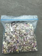 Crushed Sea Shells Pink,green,etc 13.8 oz