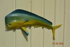 Mahi-Mahi 52" Half Mount