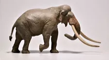 Palaeoloxodon (Straight Tusked Elephant) Non Dinosaur Eofauna Woolly Mammoth