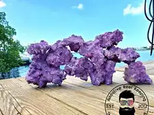 ARK Purple Dry Reef Rock Aragonite Base, Porous Aquariums Live FREE SHIPPING!!!