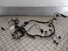 1995 TRIUMPH SPEED TRIPLE 885 Wiring Harness