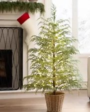 New In Box My Texas House Potted 4FT Pre-Lit Cypress Artificial Christmas Tree