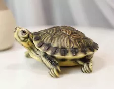 yellow belly slider turtle for sale