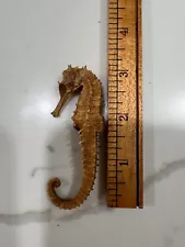 Seahorse Fossil Skeleton Complete