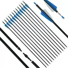 12 Pack Archery 31Inch Carbon Arrow Practice Hunting Arrows