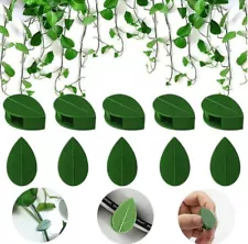 30-Piece Plant Clips with Self-Adhesive Hooks for Wall Climbing Plants Support