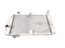 2003 Honda FSC600 Silverwing Radiator (For: 2004 Honda)