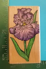 Hero Arts BIG IRIS Flower Rubber Stamp