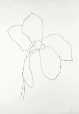 Ellsworth Kelly: Cyclamen I 22x30 Archival Quality Fine Art Print