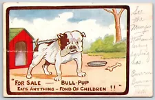 Comic~For Sale Bull-Pup~Bulldog Chained To Dog House In Frame~Vintage Postcard