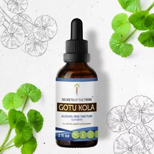 Secrets Of The Tribe Gotu Kola Tincture Alcohol-FREE