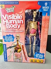 Thames & Kosmos Ooze Labs Visible Human Body with Squishable Organs Science Kit