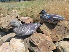 feather flex duck decoys for sale