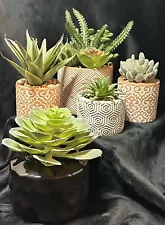 5 Small Fake Plants For Home decor