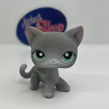 SHORTHAIR CAT #126 - Authentic Littlest Pet Shop - Hasbro LPS