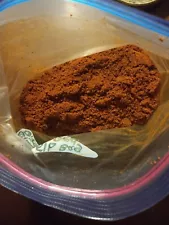 Georgia Red Clay