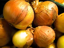 VIDALIA ONIONS SWEET FRESH PRODUCE BY RAWJOY