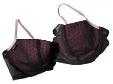 34C ELLE Designer Sexy Lingerie Lace Spot Mesh Padded Bra Top SALE