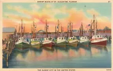 Postcard FL St Augustine Shrimp Boats in Harbor Unposted Linen Vintage PC K4798